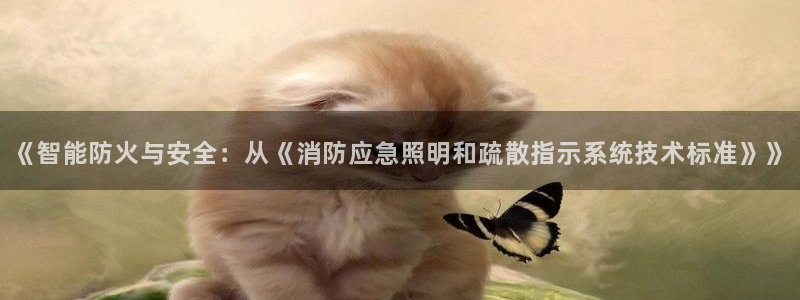 《智能防火与安全:从《消防应急照明和疏散指示系统技术标准》》