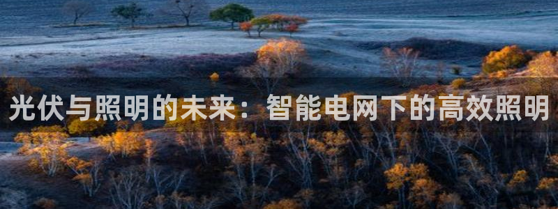 光伏与照明的未来：智能电网下的高效照明