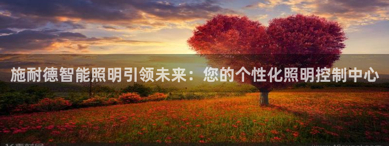 施耐德智能照明引领未来：您的个性化照明控