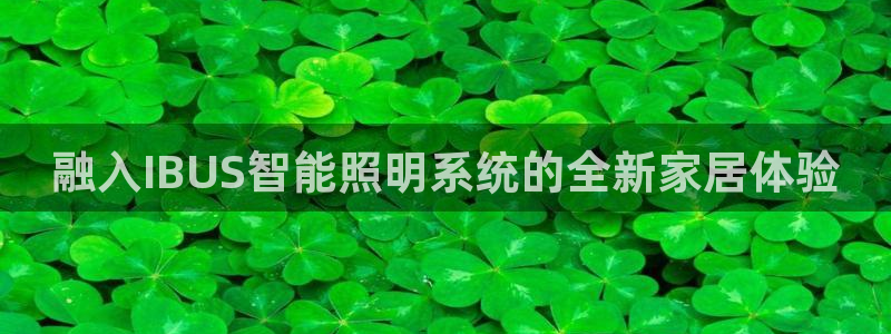 融入IBUS智能照明系统的全新家居体验