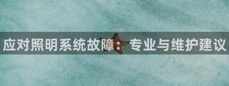 应对照明系统故障：专业与维护建议
