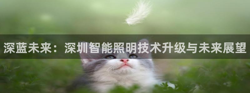 深蓝未来：深圳智能照明技术升级与未来展望