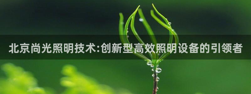 北京尚光照明技术:创新型高效照明设备的引领者
