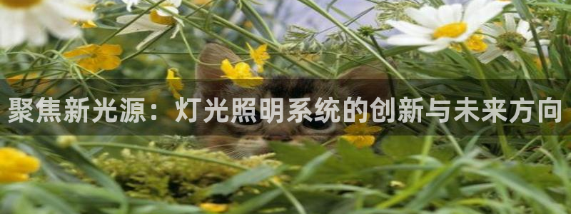 聚焦新光源：灯光照明系统的创新与未来方向