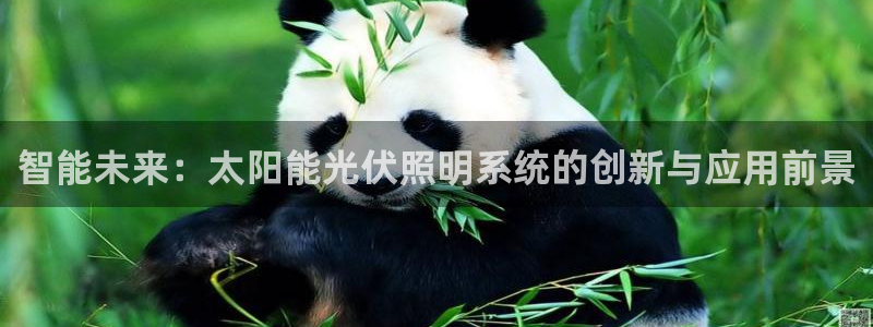 智能未来：太阳能光伏照明系统的创新与应用前景