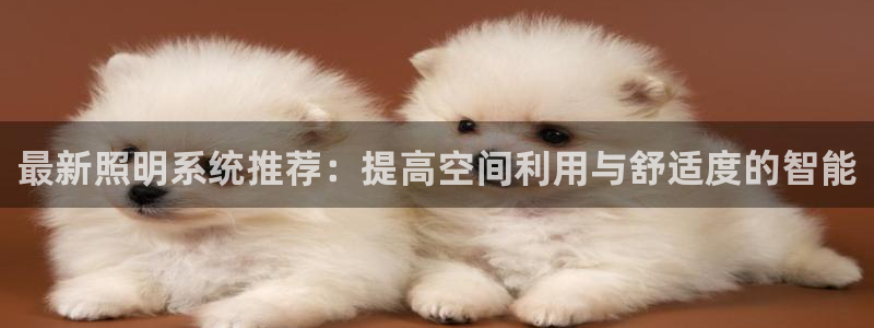 最新照明系统推荐：提高空间利用与舒适度的