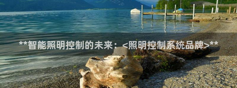 **智能照明控制的未来：<照明控制系统品牌>**