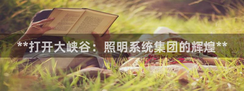 **打开大峡谷：照明系统集团的辉煌**