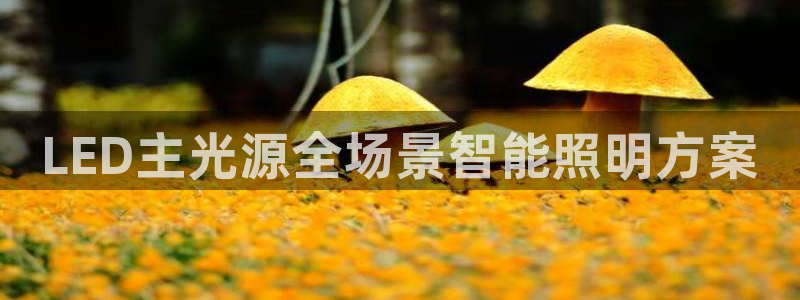 LED主光源全场景智能照明方案