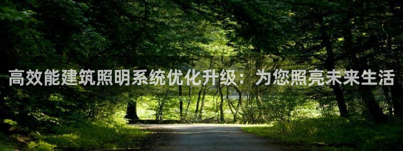 高效能建筑照明系统优化升级：为您照亮未来生活