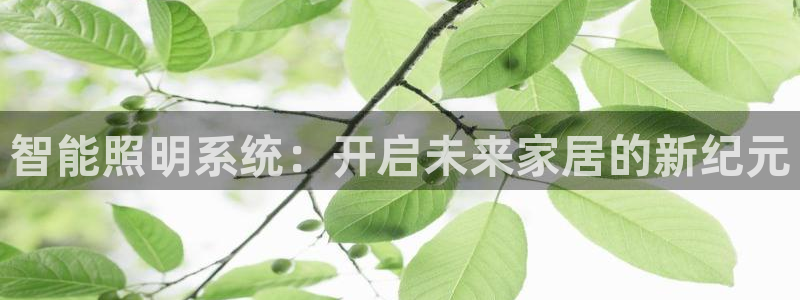 智能照明系统：开启未来家居的新纪元