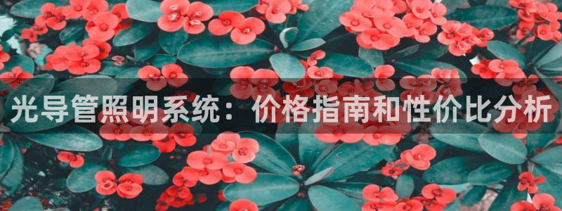 光导管照明系统：价格指南和性价比分析