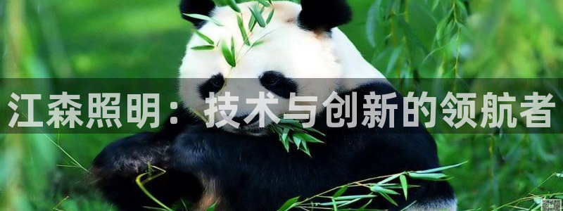 江森照明：技术与创新的领航者