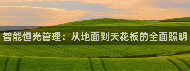 智能恒光管理：从地面到天花板的全面照明