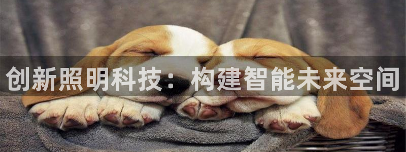 创新照明科技：构建智能未来空间