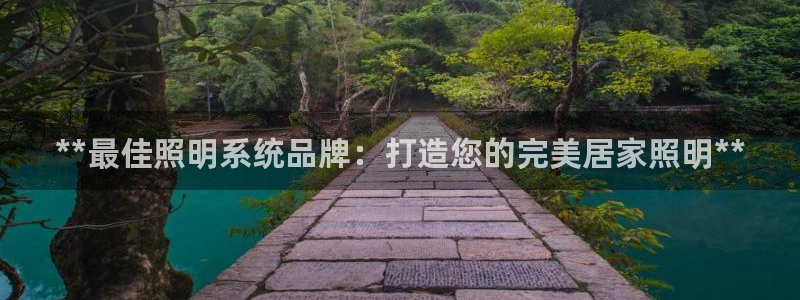 **最佳照明系统品牌：打造您的完美居家照明**