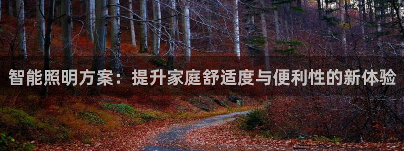 智能照明方案：提升家庭舒适度与便利性的新体验