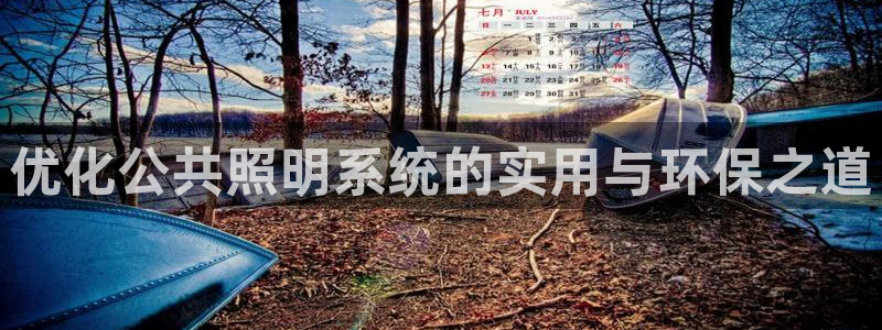 优化公共照明系统的实用与环保之道