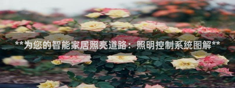 **为您的智能家居照亮道路：照明控制系统图解**