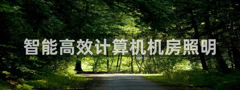 智能高效计算机机房照明