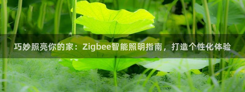 巧妙照亮你的家：Zigbee智能照明指南，打造个性化体验