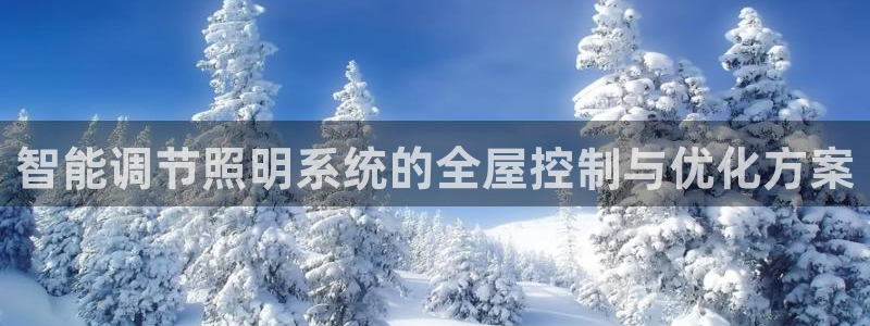 智能调节照明系统的全屋控制与优化方案