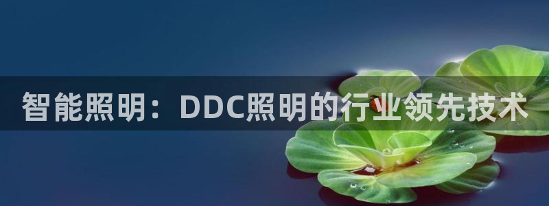 智能照明：DDC照明的行业领先技术