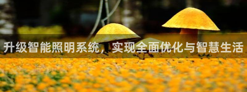 升级智能照明系统，实现全面优化与智慧生活
