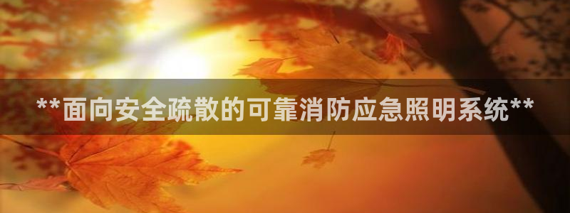**面向安全疏散的可靠消防应急照明系统**