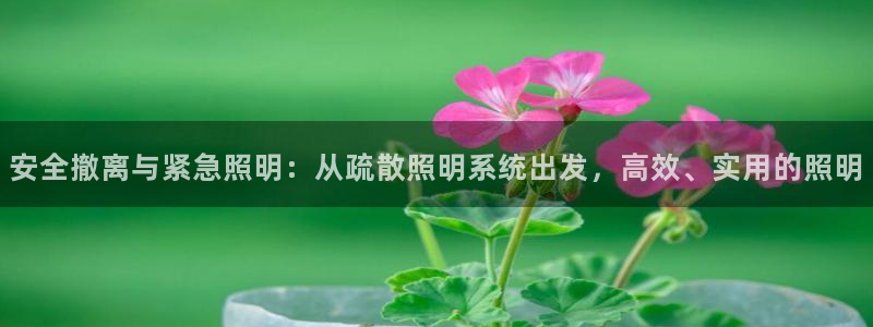 安全撤离与紧急照明：从疏散照明系统出发，高效、实用的照明