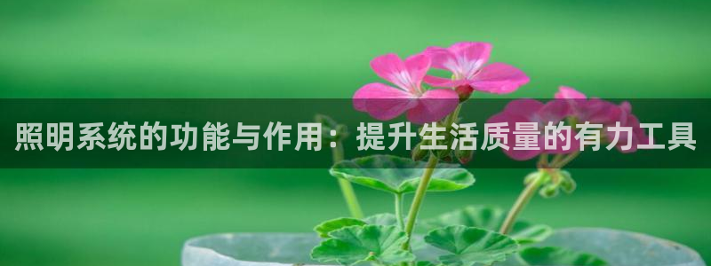 照明系统的功能与作用：提升生活质量的有力工具