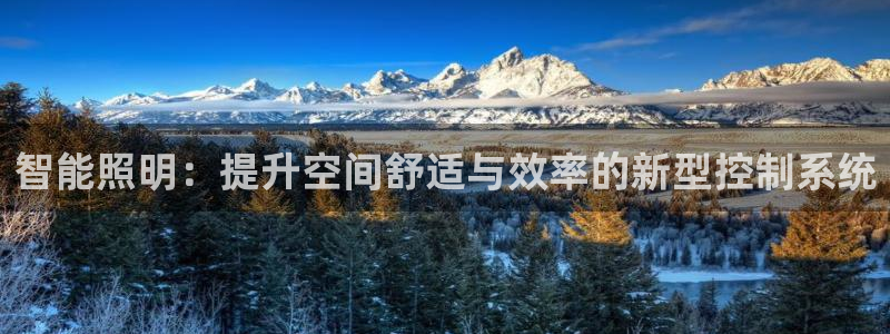 智能照明：提升空间舒适与效率的新型控制系统