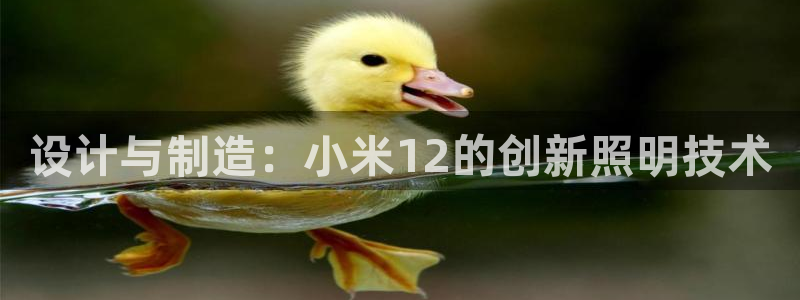 设计与制造：小米12的创新照明技术