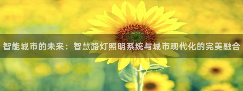 智能城市的未来：智慧路灯照明系统与城市现代化的完美融合