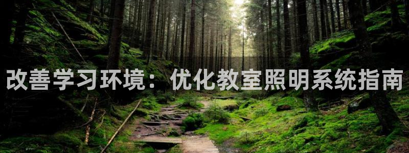 改善学习环境：优化教室照明系统指南