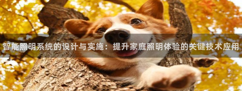 智能照明系统的设计与实施：提升家庭照明体验的关键技术应用