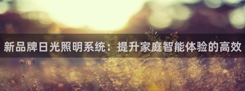 新品牌日光照明系统：提升家庭智能体验的高效