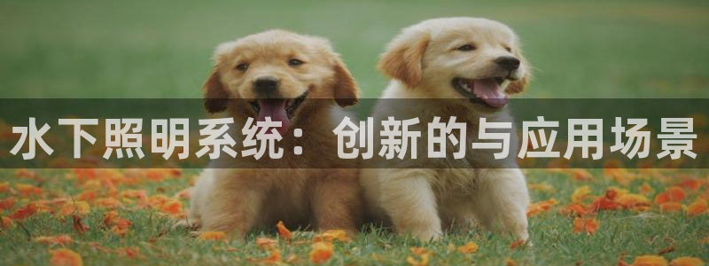 水下照明系统：创新的与应用场景