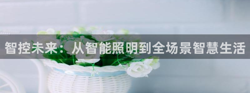 智控未来：从智能照明到全场景智慧生活