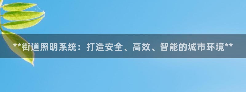 **街道照明系统：打造安全、高效、智能的城市环境**