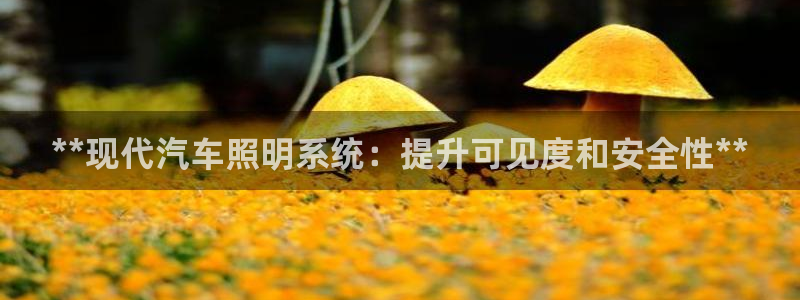 **现代汽车照明系统：提升可见度和安全性**