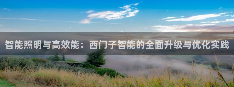 智能照明与高效能：西门子智能的全面升级与优化实践