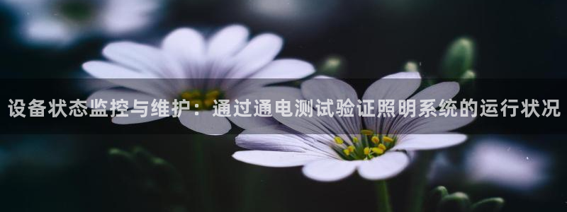 设备状态监控与维护:通过通电测试验证照明