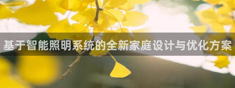 基于智能照明系统的全新家庭设计与优化方案