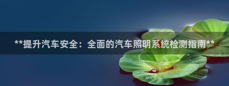 **提升汽车安全：全面的汽车照明系统检测指南**