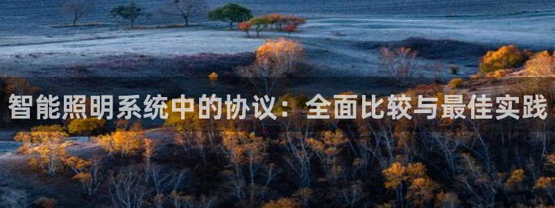 智能照明系统中的协议：全面比较与最佳实践