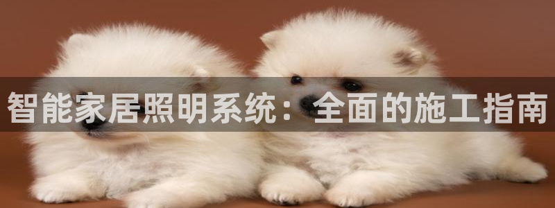 智能家居照明系统：全面的施工指南