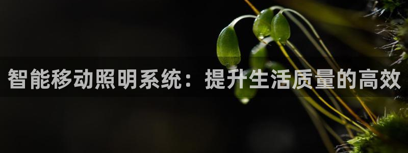 智能移动照明系统：提升生活质量的高效