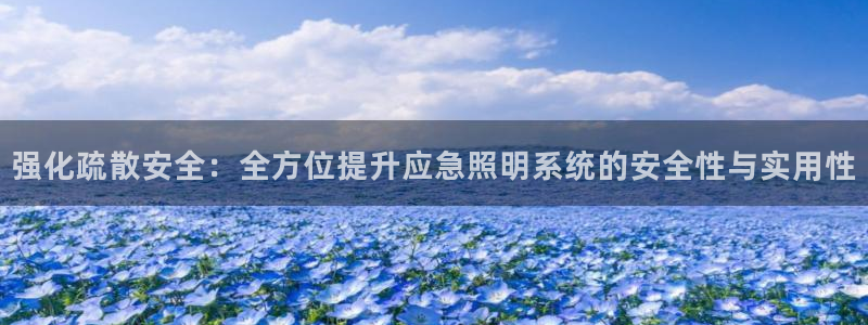 强化疏散安全：全方位提升应急照明系统的安