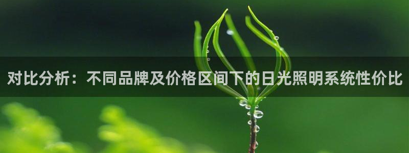 对比分析：不同品牌及价格区间下的日光照明
